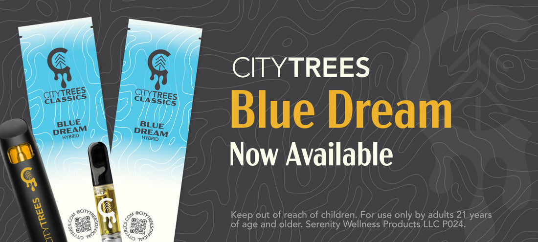 City Trees Blue Dream Vape at Oasis Dispensary: Why This Legendary Strain Remains a Las Vegas Favorite