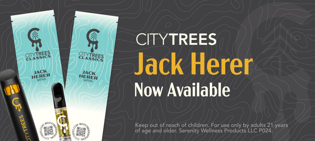 City Trees Jack Herer: Experience a Legendary Cannabis Strain at Oasis Dispensary Las Vegas